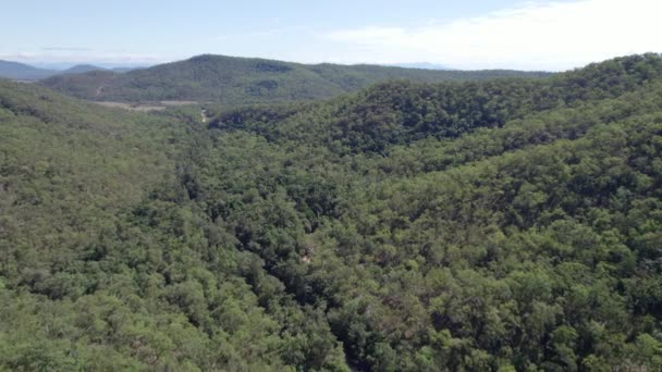 Kuzey Queensland Avustralya Daki Paluma Sıradağları Ulusal Parkı Nda Yoğun — Stok video