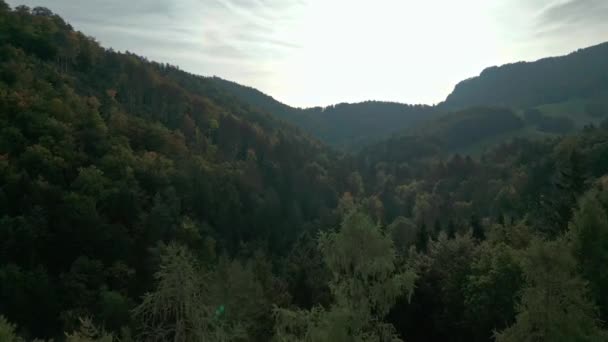 Lot Dronem Nad Lasem Szwajcarii Początku Jesieni Wciśnij Lot — Wideo stockowe
