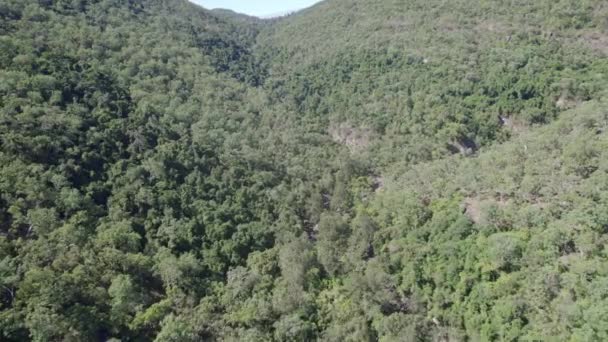 オーストラリア クイーンズランド州北部のパルーマ山脈国立公園周辺の高密度植生 — ストック動画