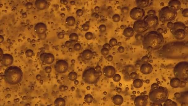 Burbujas Todos Los Tamaños Que Asemejan Maltesers Chocolate Suben Jabón — Vídeo de stock