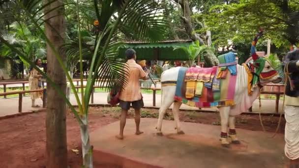 Village Theme Authentic Village Life Experience Restoring Rich Cultural Heritage — Stock Video