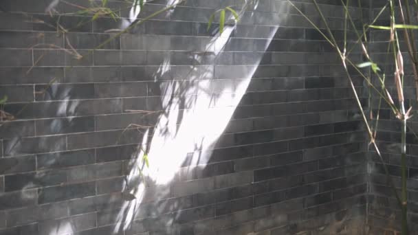 竹子在中式墙壁上的影子 — 图库视频影像