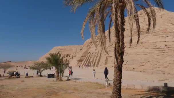 Utsikt Över Palmer Utanför Nefertaris Tempel Med Turister Som Vandrar — Stockvideo
