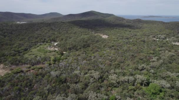 Flying Densely Forested Landscape Great Keppel Island Woppaburra Shire Livingstone — Stock video