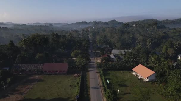 Árvores Tropicais Densas Aldeia Rural Sumba Island Indonésia Tiro Aéreo — Vídeo de Stock