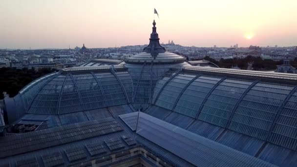 电影无人机拍摄的大加莱 被树木环绕 玻璃屋顶的近景 日出时游览巴黎 — 图库视频影像