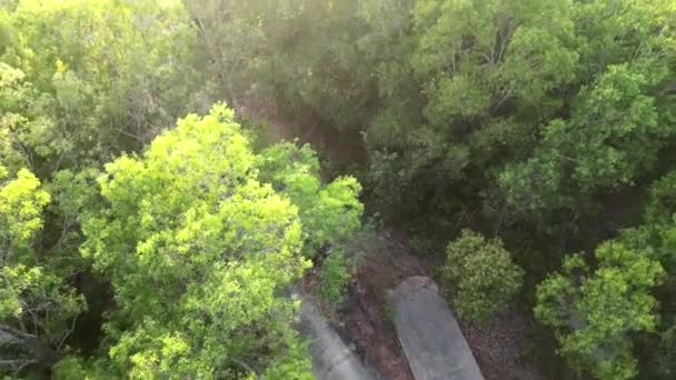 Drone Aerial Outback Australia Rural Northern Territory Árboles Verdes Altos — Vídeo de stock