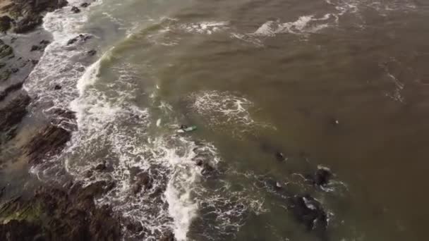 Ett Dynamiskt Flygfoto Surfare Med Sin Surfbräda Medan Han Vattnet — Stockvideo