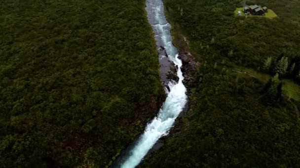 Fluss Mit Wasserfall Umgeben Von Bäumen Und Vegetation Island Antenne — Stockvideo