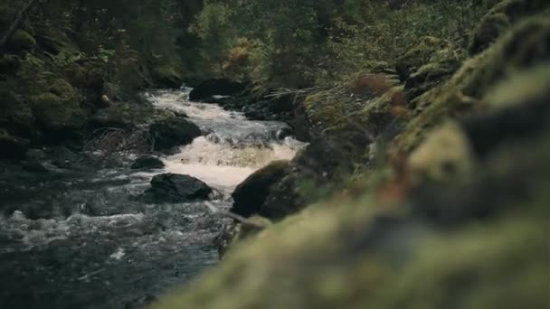Kleiner Wasserfall Bach Mit Felsen Wald Farblich Abgestufter Schuss — Stockvideo