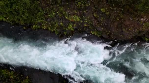 Aerial Zenith Push Άποψη Ενός Μεγάλου Ποταμού Που Περιβάλλεται Από — Αρχείο Βίντεο