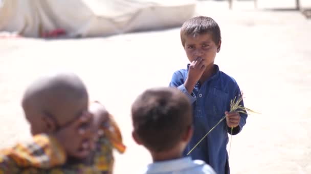 Βίντεο Δείχνει Τρία Αγόρια Στέκονται Έξω Στον Ήλιο Στο Πακιστάν — Αρχείο Βίντεο