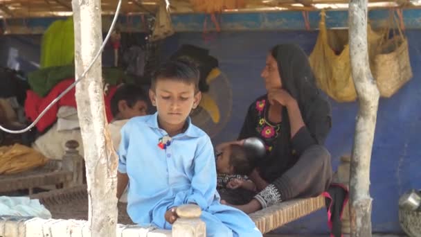 Відео Підлітка Його Сім Пакистані Сидять Палланзі Манджі Або Хаттії — стокове відео