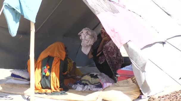 Видео Двух Женщин Сидящих Тени Палатки Установленных Открытом Воздухе Яркий — стоковое видео