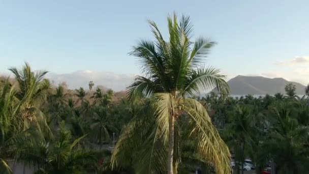 Drone View Odhalení Tropické Plážové Krajiny Modrou Letní Oblohou Gran — Stock video
