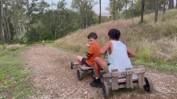 Los Niños Emocionados Atreven Montar Karts Madera Antigua Por Camino — Vídeos de Stock