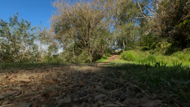 Garçon Excès Vitesse Descente Devant Caméra Sur Bricolage Bois Kart — Video