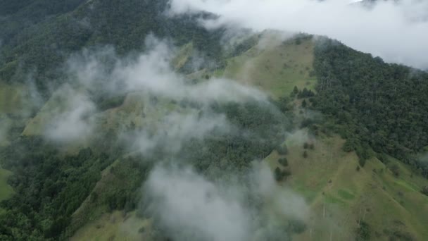Létání Nad Údolím Cocora Rite Passage Salento Colombia Letecký Dron — Stock video