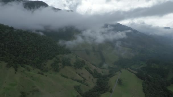Vliegtuig Drone Vliegen Boven Cocora Valley Beschermd Nationaal Park Quindio — Stockvideo