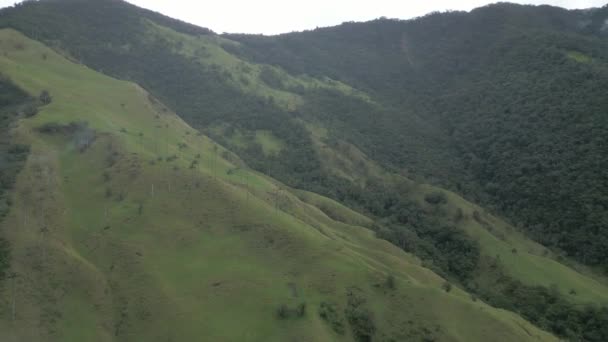 Panorama Aérien Drone Survolant Vallée Cocora Chaîne Montagne Verte Colombienne — Video