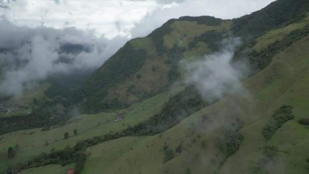 Voando Acima Vale Cocora Montanhas Verde Escuras Andinas Salento Colombia — Vídeo de Stock