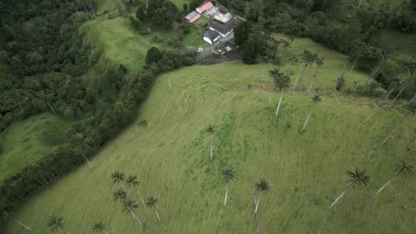 Palmen Cocora Tal Drohne Eröffnet Sicht Über Straßen Wolken Und — Stockvideo