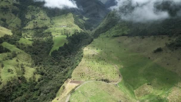Dolina Cocora Lotnicze Drony Latające Nad Środkową Cordillera Górach Andyjskich — Wideo stockowe