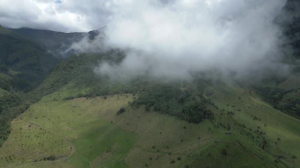 Salento Cocora Valley Aerial Drone Flying Cloud Forest Nevados Green — Stock video