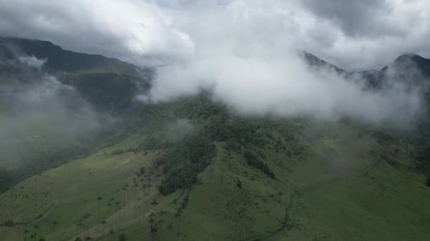 Nuvem Cinematográfica Floresta Visão Aérea Drone Acima Vale Cocora Floresta — Vídeo de Stock