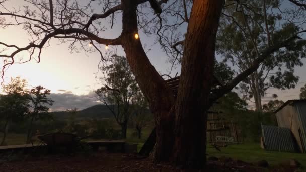 澳大利亚农村后院景观与腹地黄昏 时间流逝 — 图库视频影像