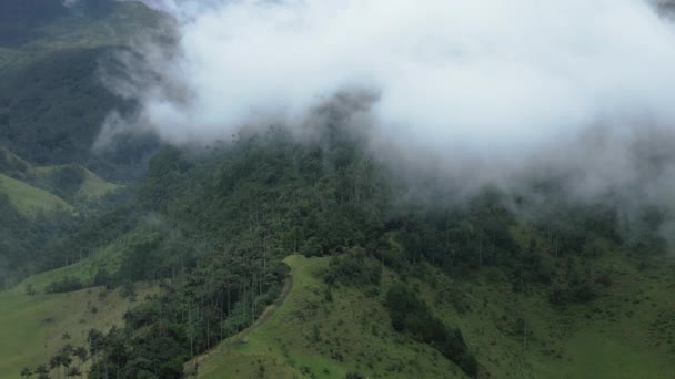 Drone Panoramique Premier Ordre Dessus Des Nuages Vallée Cocora Forêt — Video
