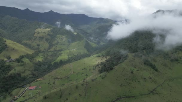 Letecký Panoramatický Vrchol Zářezu Nad Cocora Valley Andské Lesy Kolumbie — Stock video