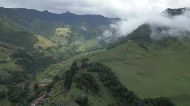 Vibing Cocora Valley Colombian Paradise Aerial Drone Cloud Forest Hill — Stock video