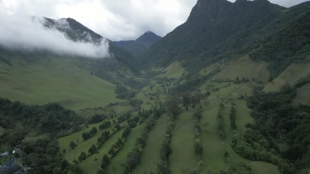 Zenith Aerial Drone Vision Cocora Valley Felett Kolumbiában Mező Mélysége — Stock videók