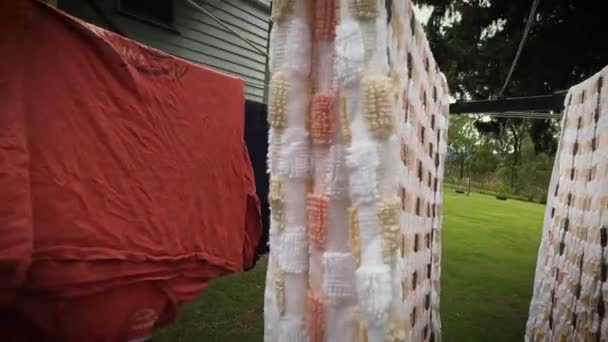 クイーンズランドの裏庭でヒルズホイストの服を洗うことから引き戻す — ストック動画