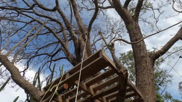 就在简朴的Diy自制托盘 树屋和绳梯下面 — 图库视频影像
