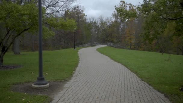 密歇根州沃尔科特大都会公园的砖墙人行道 动作缓慢 两边都是老式灯具 — 图库视频影像