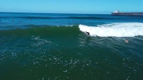 Sörfçü Okyanus Kıyısındaki Iskelede Kopuyor — Stok video