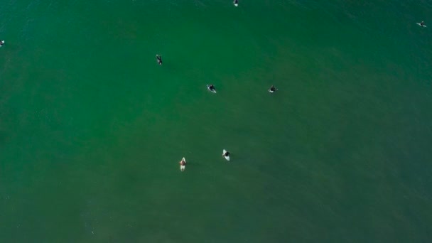 Вид Дрона Серфингистов Стороны Океана — стоковое видео