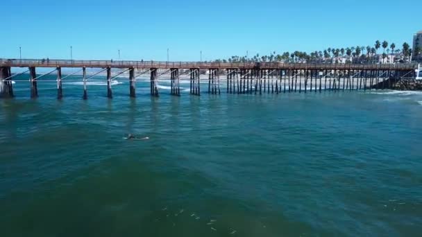 Oceanside Drone Pier Leć Przez — Wideo stockowe