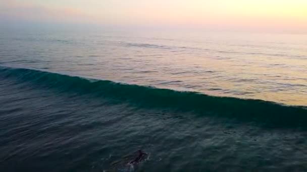 Okyanus Kıyısı Sörfçüleri Okyanus Kıyısı Skelesi Gün Batımı — Stok video