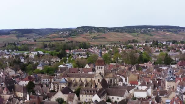 프랑스 의유서 마을의아름다움 양식을 포도원들 배경으로 확장되고 — 비디오