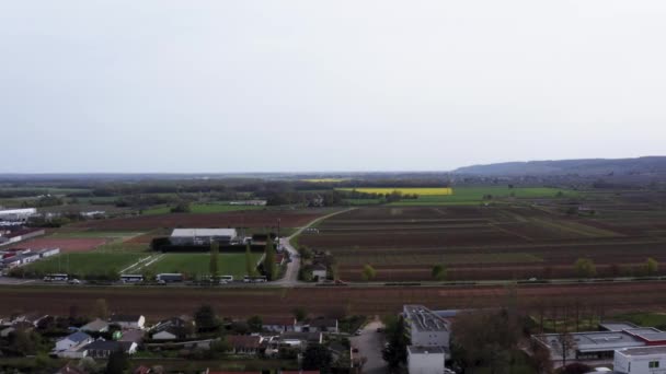 車は美しい日に絵のように美しいフランスのブドウ畑を過ぎます — ストック動画
