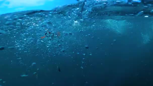 Lik Heykel Iğnesi Yavaş Çekimde Suyun Altında — Stok video