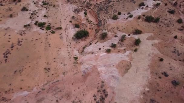 Gerader Blick Auf Sand Und Büsche Der Wüste Utah Usa — Stockvideo
