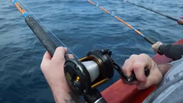 Winding Fishing Reel Slow Motion — Stock Video