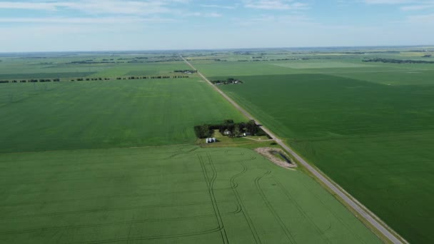 カナダとアメリカの夏の間の農家の畑の美しい地平線の景色 — ストック動画