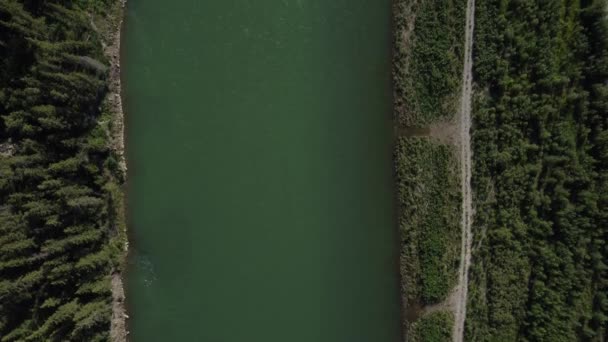 Geradeaus Schuss Des Grünen Flusses Von Der Drohne Sommer — Stockvideo