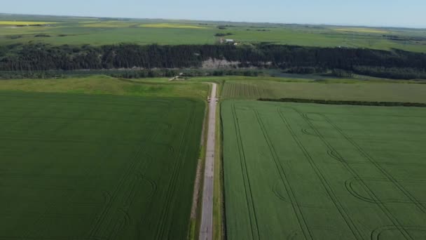 Campo Agricultores Verão Com Céu Azul Nuvens Com Drone — Vídeo de Stock