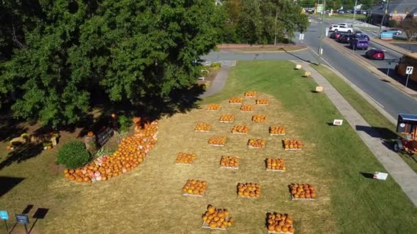 Backwards Aerial Shot Pumpkin Patch Church Clemmons — Stock Video